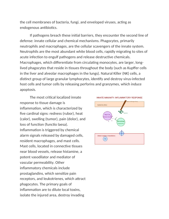 Innate Immunity and the Inflammatory Response Reading Worksheet sample page