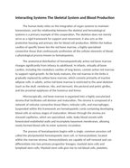 Interacting Systems The Skeletal System and Blood Production Reading Worksheet sample page