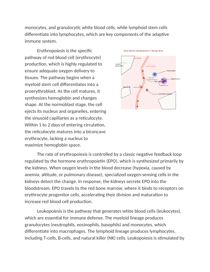 Interacting Systems The Skeletal System and Blood Production Reading Worksheet sample page
