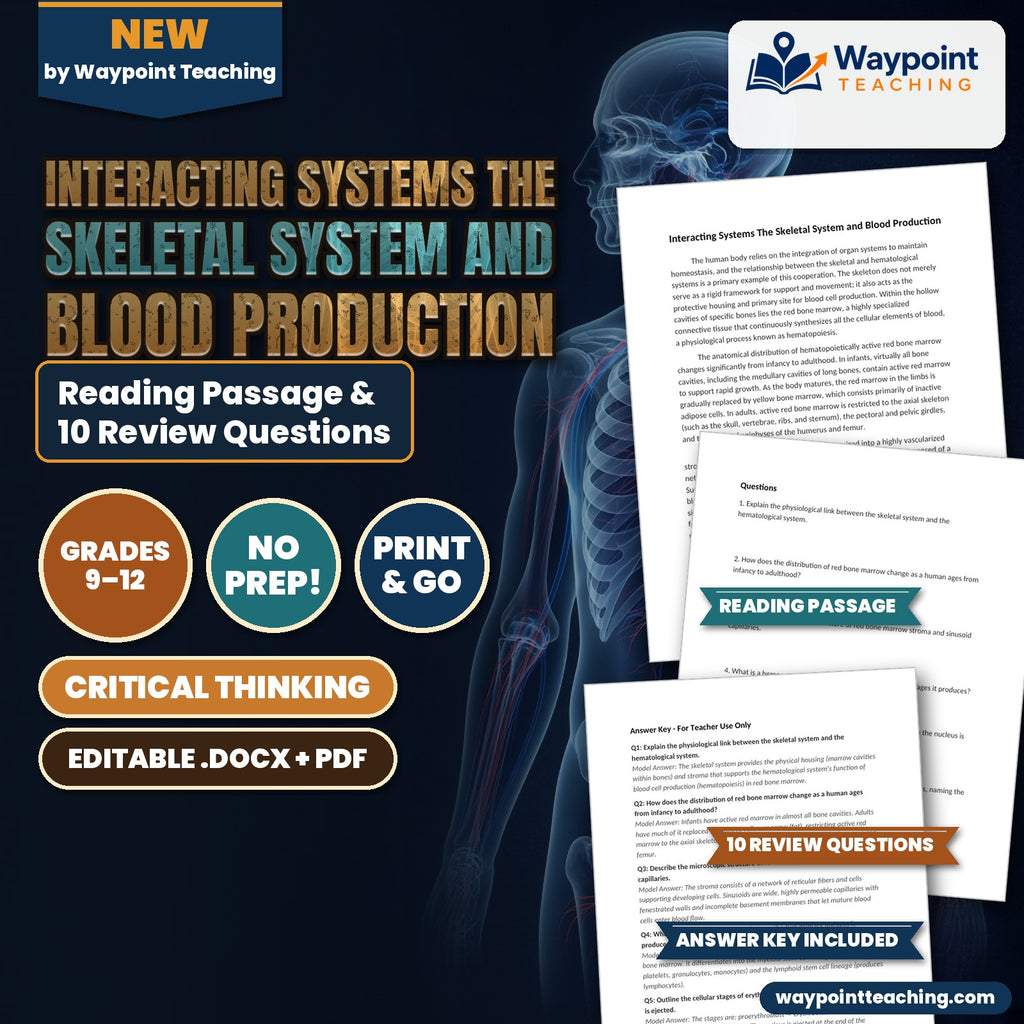 Interacting Systems The Skeletal System and Blood Production Reading Worksheet cover