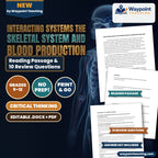 Interacting Systems The Skeletal System and Blood Production Reading Worksheet cover