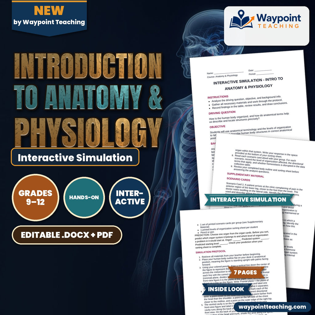 Introduction to Anatomy & Physiology Interactive Simulation cover