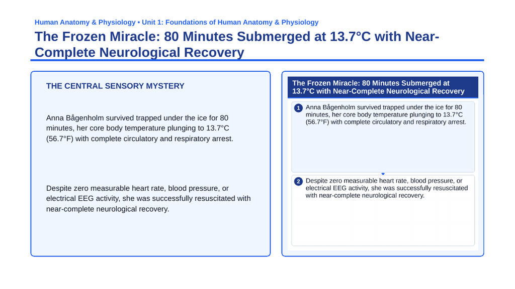 Introduction to Anatomy & Physiology Phenomena-Based Lesson: The Frozen Miracle: 80 Minutes Submerged at 13.7°C with Near-Complete Neurological Recovery Presentation sample page