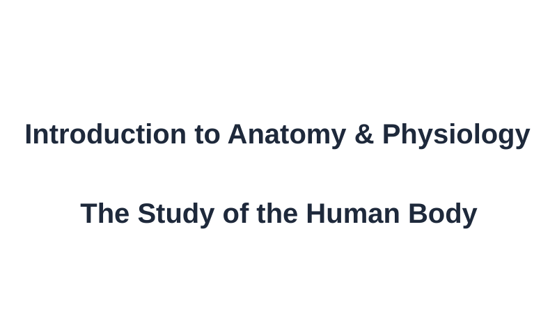 Introduction to Anatomy & Physiology Substitute Slideshow & Teacher Guide sample page