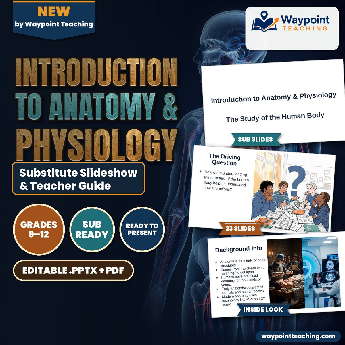 Introduction to Anatomy & Physiology Substitute Slideshow & Teacher Guide cover