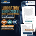 Laboratory Identification of Major Skeletal Muscles Reading Worksheet cover