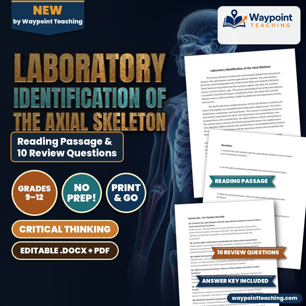 Laboratory Identification of the Axial Skeleton Reading Worksheet cover