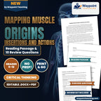 Mapping Muscle Origins Insertions and Actions Reading Worksheet cover