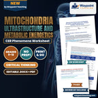 Mitochondria Ultrastructure and Metabolic Energetics: Cyanide Cytochrome c Oxidase Inhibition CER Phenomena Worksheet cover