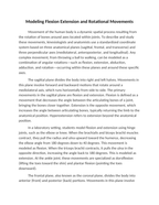 Modeling Flexion Extension and Rotational Movements Reading Worksheet sample page