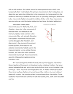 Modeling Flexion Extension and Rotational Movements Reading Worksheet sample page