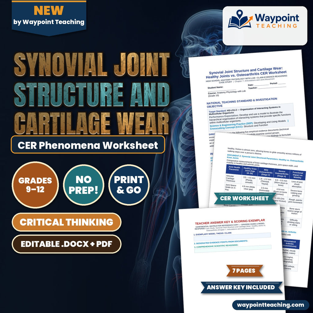 Synovial Joint Structure and Cartilage Wear: Healthy Joints vs. Osteoarthritis CER Phenomena Worksheet cover