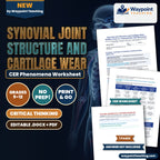 Synovial Joint Structure and Cartilage Wear: Healthy Joints vs. Osteoarthritis CER Phenomena Worksheet cover