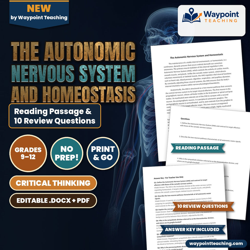The Autonomic Nervous System and Homeostasis Reading Worksheet cover