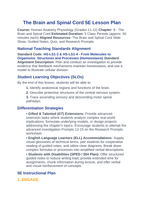 The Brain & Spinal Cord 5E Lesson Plan sample page