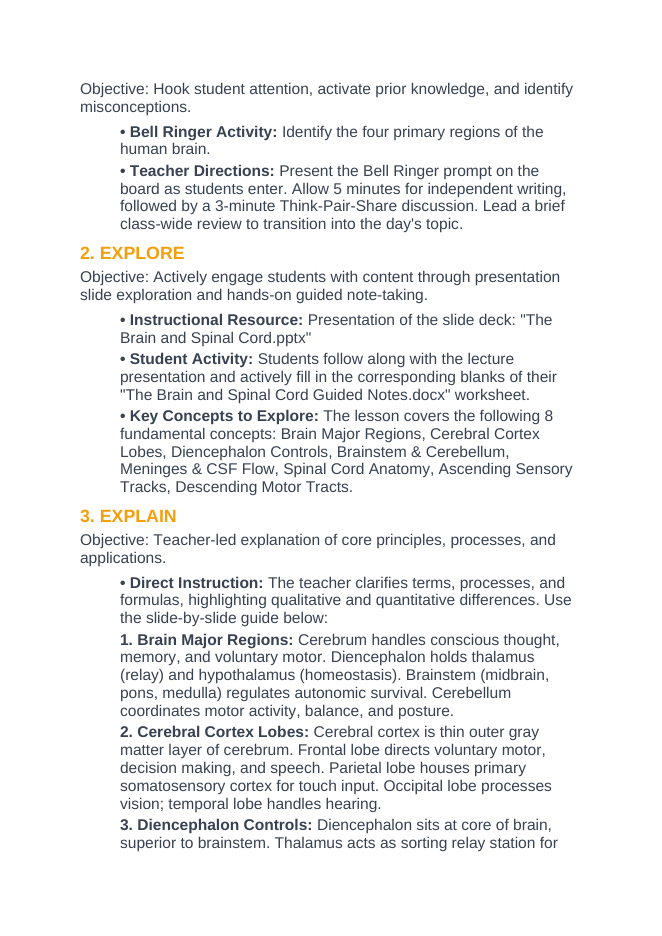 The Brain & Spinal Cord 5E Lesson Plan sample page