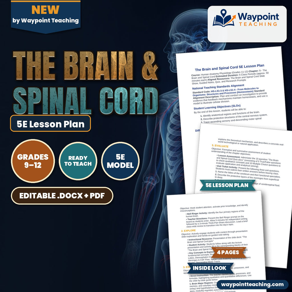 The Brain & Spinal Cord 5E Lesson Plan cover