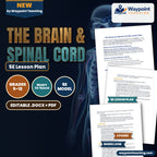 The Brain & Spinal Cord 5E Lesson Plan cover