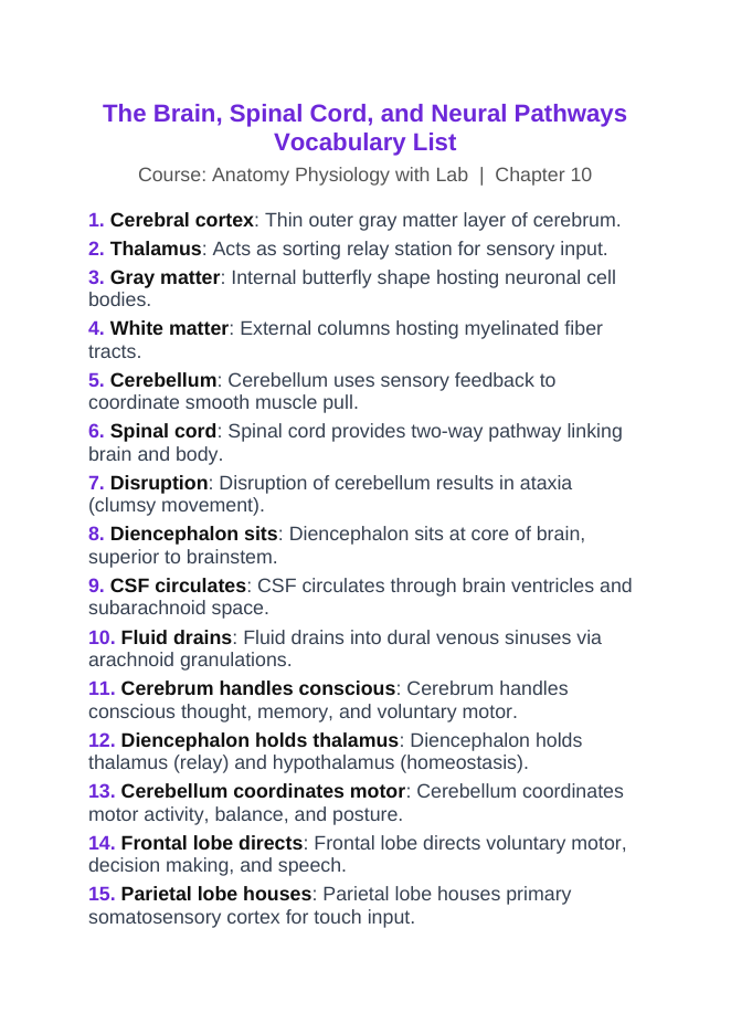 The Brain & Spinal Cord Vocabulary Words & Definitions sample page