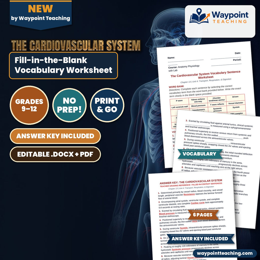 The Cardiovascular System Fill-in-the-Blank Vocabulary Worksheet cover