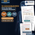 The Cardiovascular System Fill-in-the-Blank Vocabulary Worksheet cover