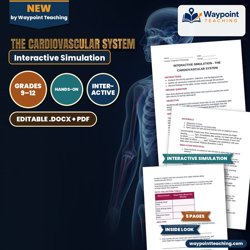 The Cardiovascular System Interactive Simulation cover