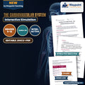 The Cardiovascular System Interactive Simulation cover