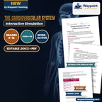 The Cardiovascular System Interactive Simulation cover