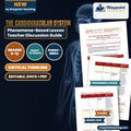 The Cardiovascular System Phenomena-Based Lesson: The 10–30 ms Window: Why a Baseball Impact Can Instantly Stop a Healthy Heart Teacher Discussion Guide cover
