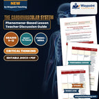 The Cardiovascular System Phenomena-Based Lesson: The 10–30 ms Window: Why a Baseball Impact Can Instantly Stop a Healthy Heart Teacher Discussion Guide cover