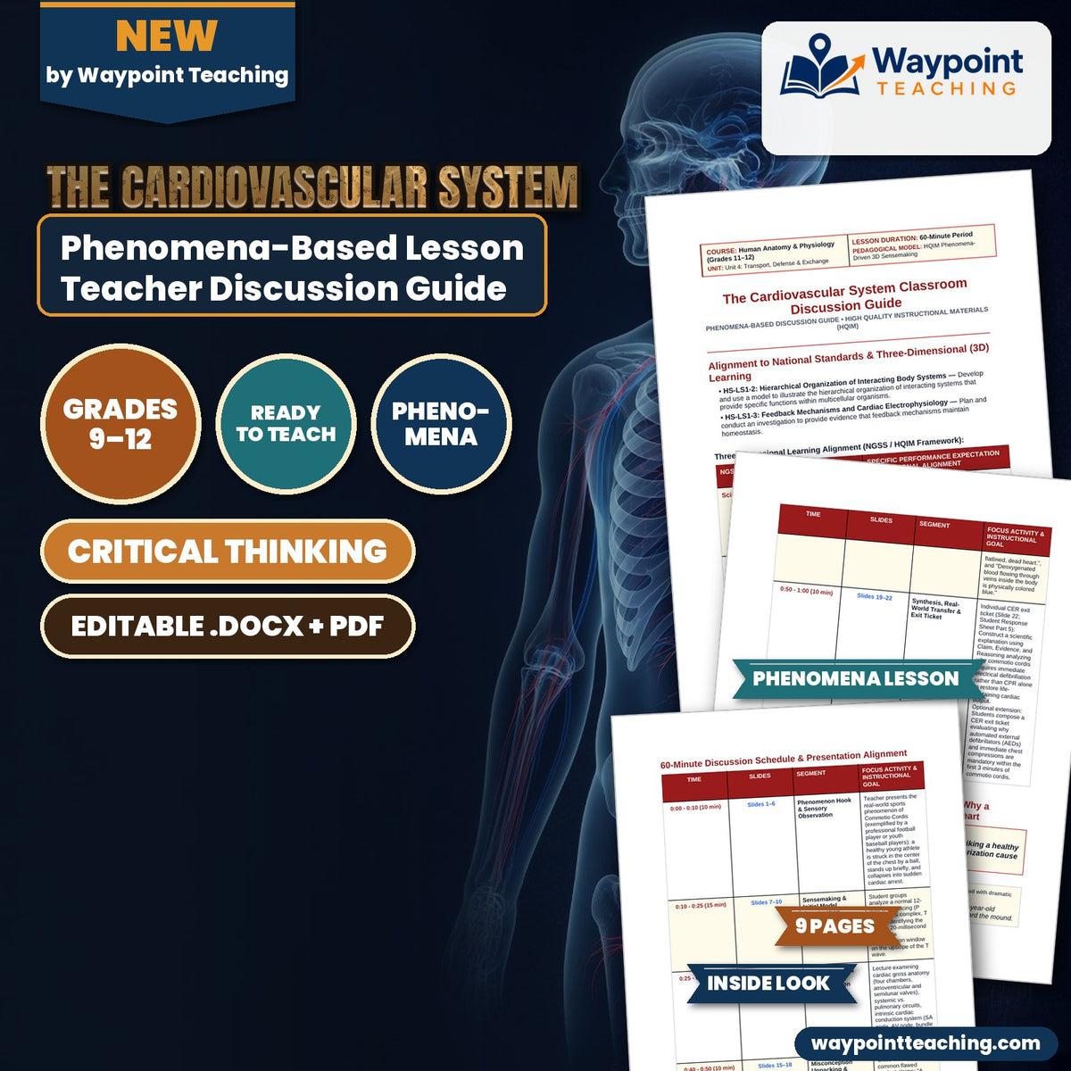The Cardiovascular System Phenomena-Based Lesson: The 10–30 ms Window: Why a Baseball Impact Can Instantly Stop a Healthy Heart Teacher Discussion Guide cover