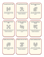 The Cardiovascular System Tic-Tac-Toe Review Game sample page