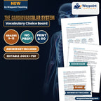 The Cardiovascular System Vocabulary Choice Board cover