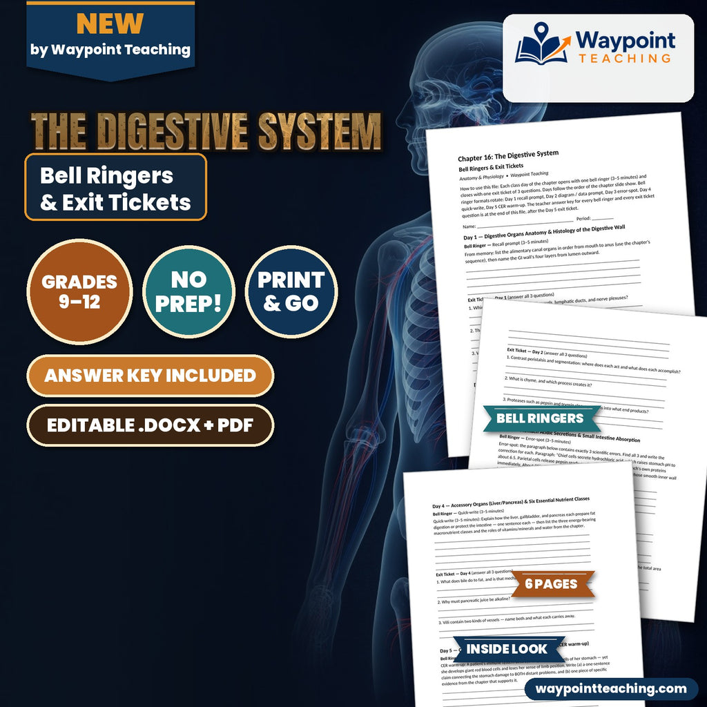 The Digestive System Bell Ringers & Exit Tickets cover