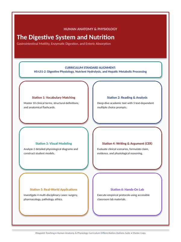 The Digestive System Differentiation Stations sample page