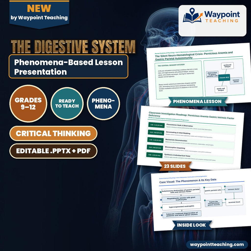 The Digestive System Phenomena-Based Lesson: The Silent Neuro-Hematological Crisis: Pernicious Anemia and Gastric Parietal Autoimmunity Presentation cover