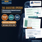 The Digestive System Phenomena-Based Lesson: The Silent Neuro-Hematological Crisis: Pernicious Anemia and Gastric Parietal Autoimmunity Presentation cover