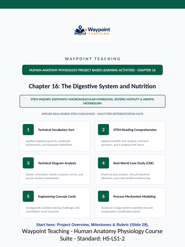 The Digestive System Project-Based Learning Activity sample page
