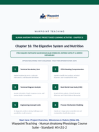 The Digestive System Project-Based Learning Activity sample page