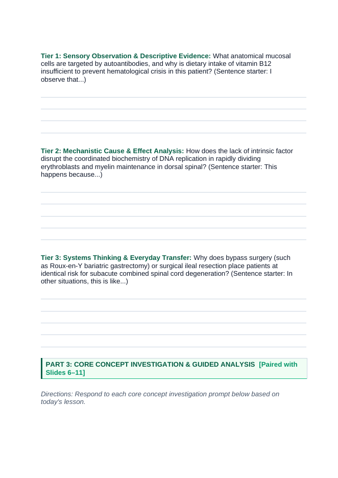 The Digestive System Scaffolded Phenomena-Based Lesson: The Silent Neuro-Hematological Crisis: Pernicious Anemia and Gastric Parietal Autoimmunity Student Response Sheet sample page