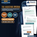 The Digestive System Scaffolded Phenomena-Based Lesson: The Silent Neuro-Hematological Crisis: Pernicious Anemia and Gastric Parietal Autoimmunity Student Response Sheet cover