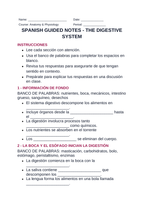 The Digestive System Spanish Guided Notes sample page