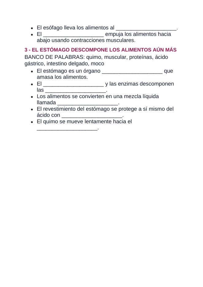 The Digestive System Spanish Guided Notes sample page