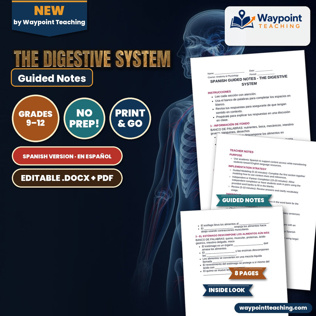 The Digestive System Spanish Guided Notes cover