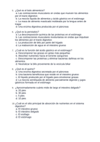 The Digestive System Spanish Unit Test sample page