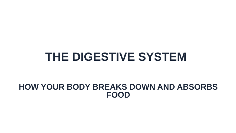 The Digestive System Substitute Slideshow & Teacher Guide sample page