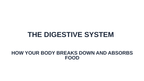 The Digestive System Substitute Slideshow & Teacher Guide sample page