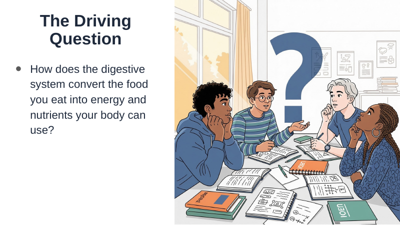 The Digestive System Substitute Slideshow & Teacher Guide sample page