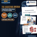 The Digestive System Substitute Slideshow & Teacher Guide cover