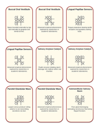The Digestive System Tic-Tac-Toe Review Game sample page